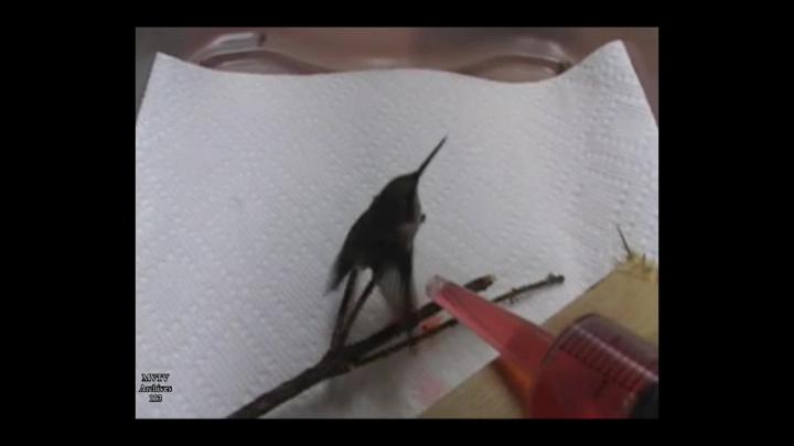 Thumbnail image for MVTV Archives 113