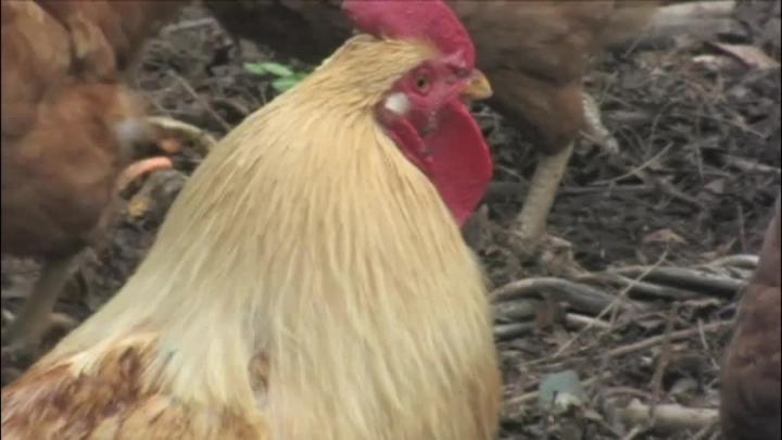 Thumbnail image for Marjorie Rogers