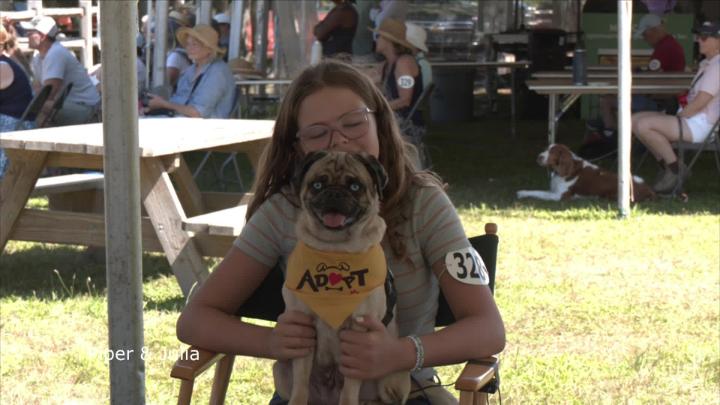 Thumbnail image for Dog Show 8.16.26