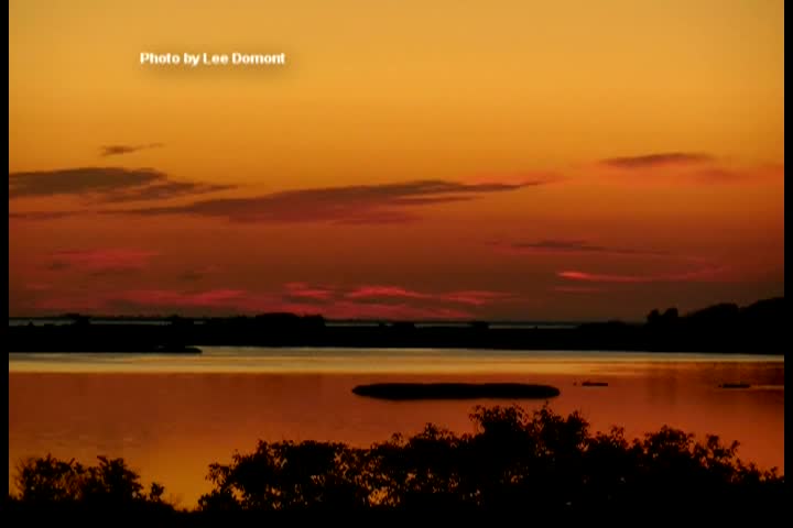 MVS296 Dawn Wrapt in Splendor